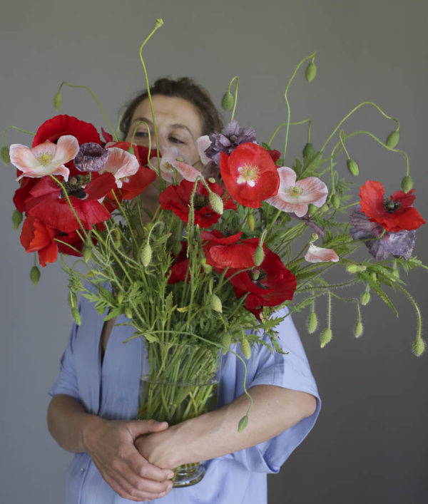 Papaver rhoeas ‘Misto colore’