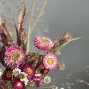 Mazzo Elicriso e Celosia - Image 2